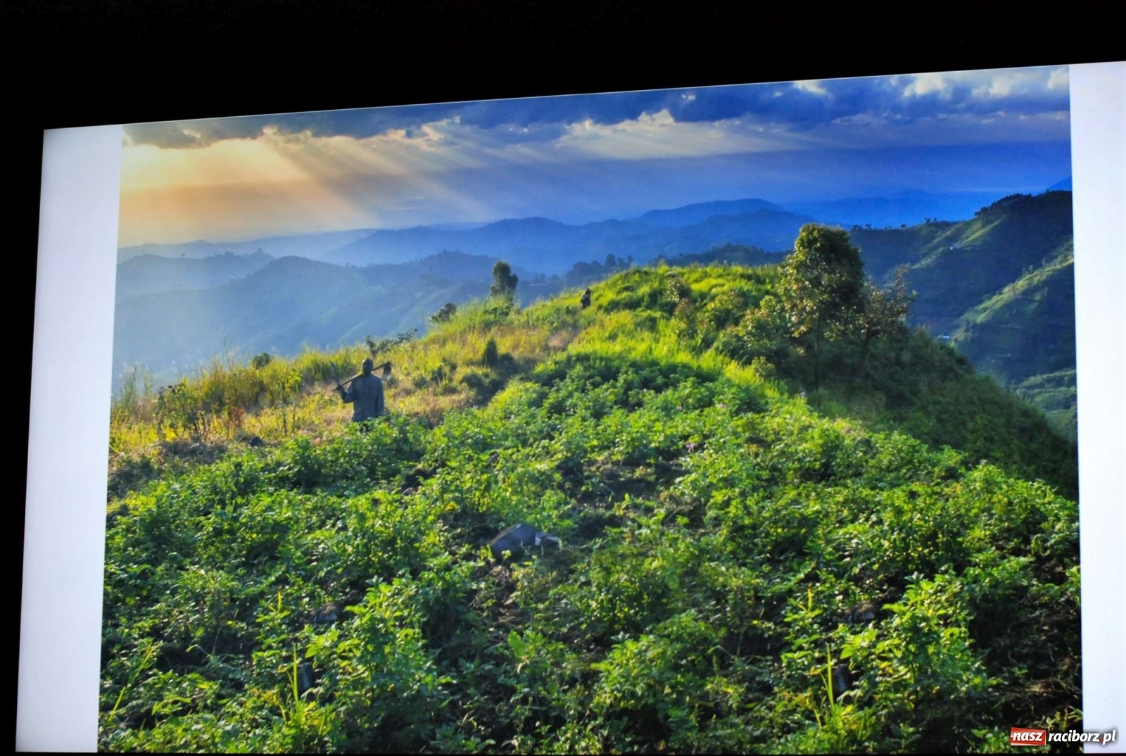 Zdjęcie w galerii na portalu naszraciborz.pl: Plecenie wianków, slajdowisko o Ugandzie i warsztaty DIY wiadomości z regionu