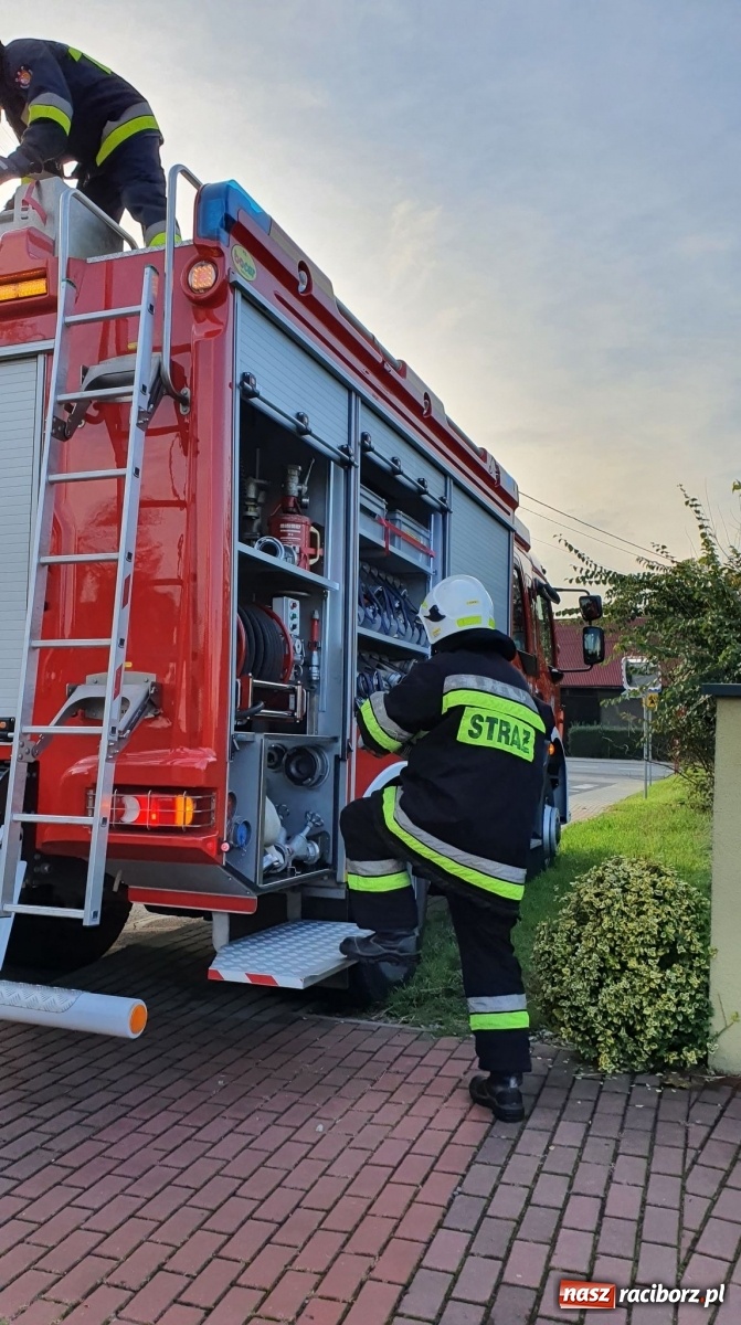 Zdjęcie w galerii na portalu naszraciborz.pl: Raport 998. Silny wiatr przysporzył pracy strażakom wiadomości z regionu