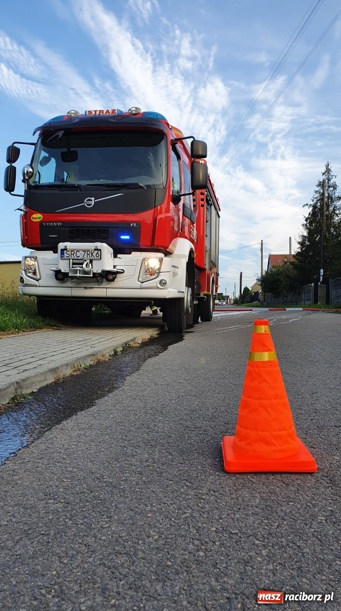 Zdjęcie w galerii na portalu naszraciborz.pl: Raport 998. Silny wiatr przysporzył pracy strażakom wiadomości z regionu