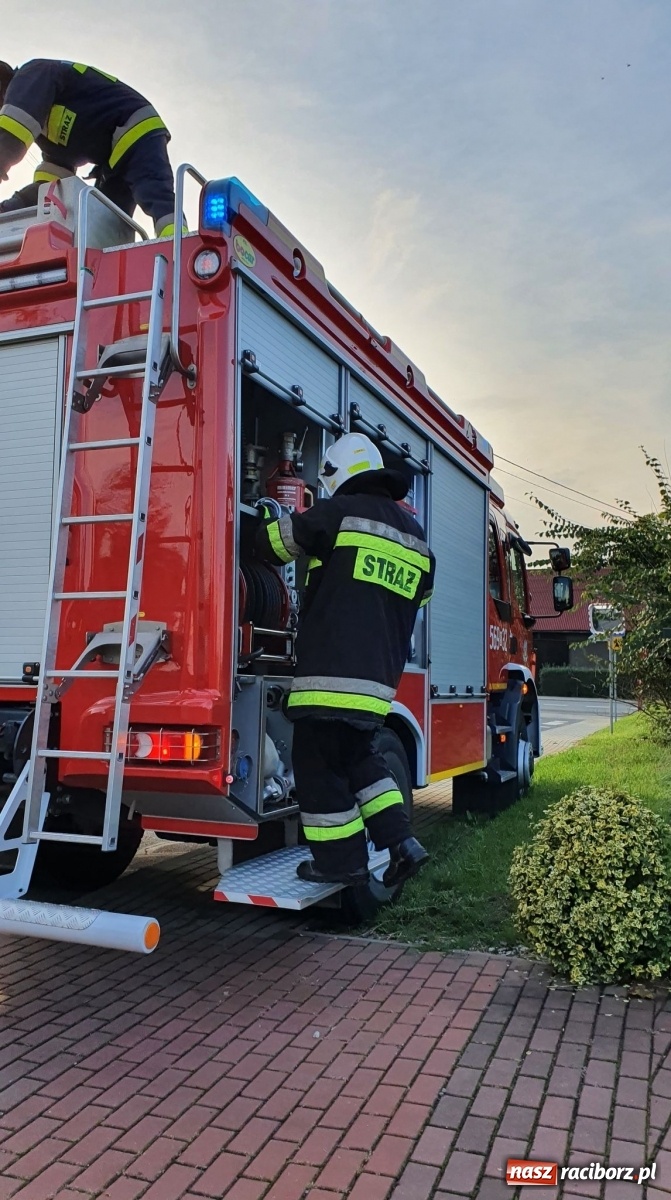 Zdjęcie w galerii na portalu naszraciborz.pl: Raport 998. Silny wiatr przysporzył pracy strażakom wiadomości z regionu