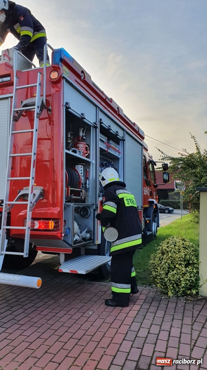 Zdjęcie w galerii na portalu naszraciborz.pl: Raport 998. Silny wiatr przysporzył pracy strażakom wiadomości z regionu
