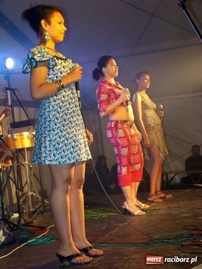 Zdjęcie w galerii na portalu naszraciborz.pl: Bawili się dwa dni i dwie noce wiadomości z regionu