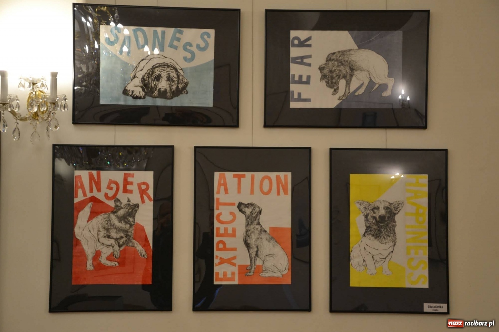 Zdjęcie w galerii na portalu naszraciborz.pl: Dyplomy 2020 - wernisaż wystawy na zamku wiadomości z regionu