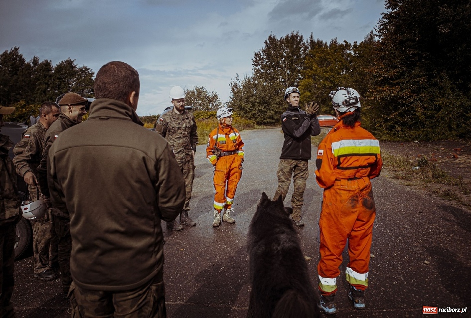 Zdjęcie w galerii na portalu naszraciborz.pl: Psy ratownicze 13 ŚBOT rozpoczęły szkolenie wiadomości z regionu