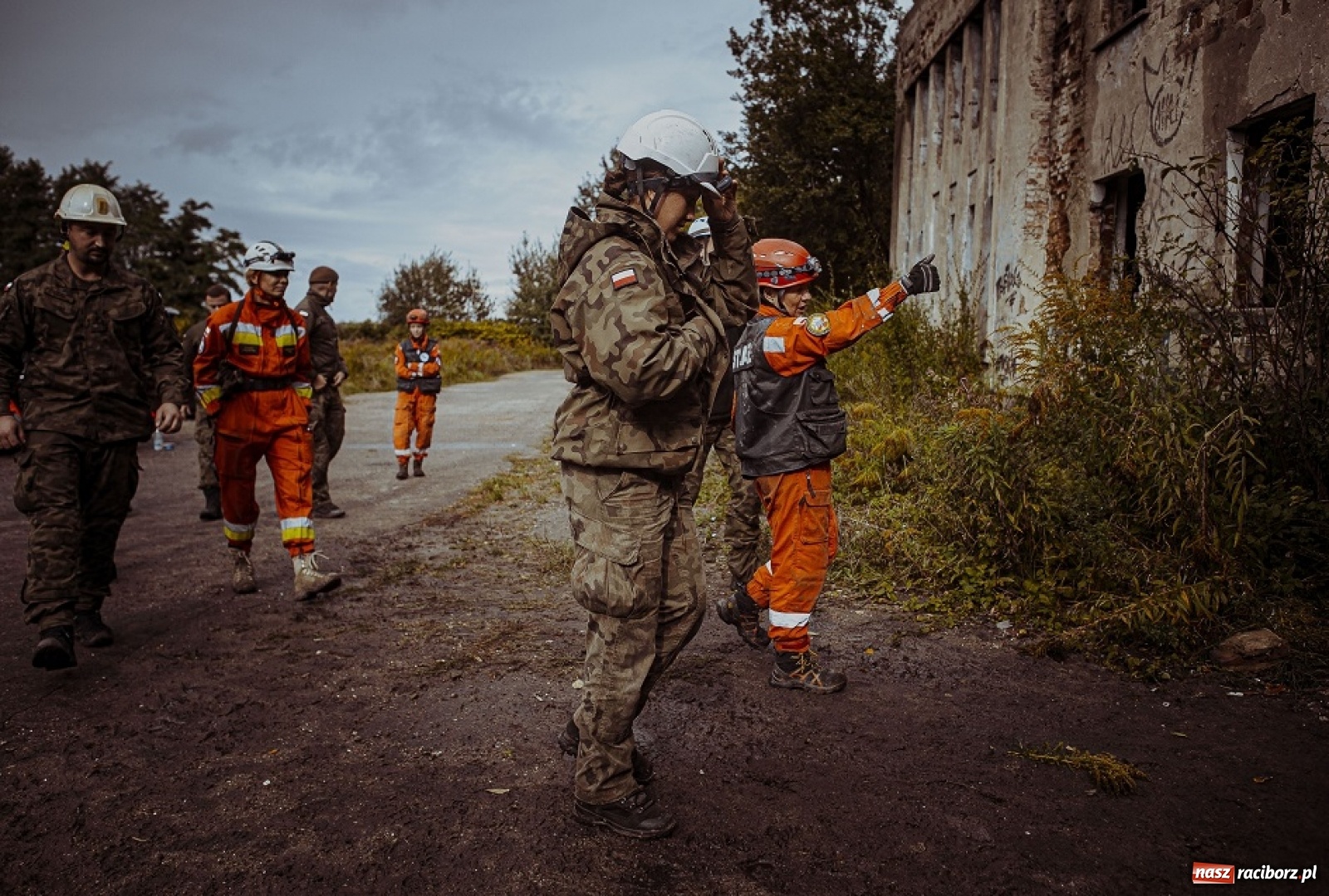 Zdjęcie w galerii na portalu naszraciborz.pl: Psy ratownicze 13 ŚBOT rozpoczęły szkolenie wiadomości z regionu
