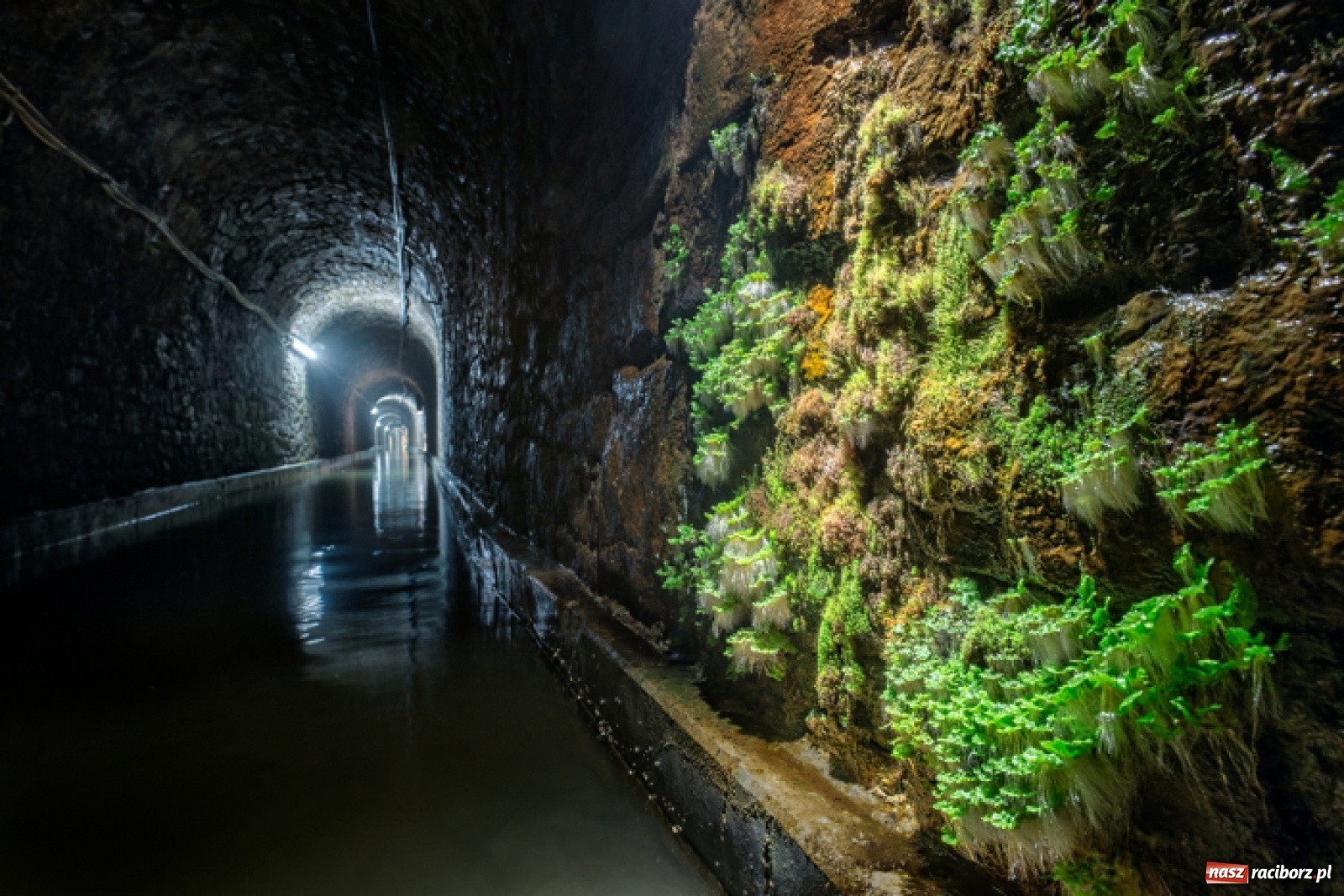 Zdjęcie w galerii na portalu naszraciborz.pl: Stadion Śląski i Sztolnia Królowa Luiza mają wspólny bilet wiadomości z regionu