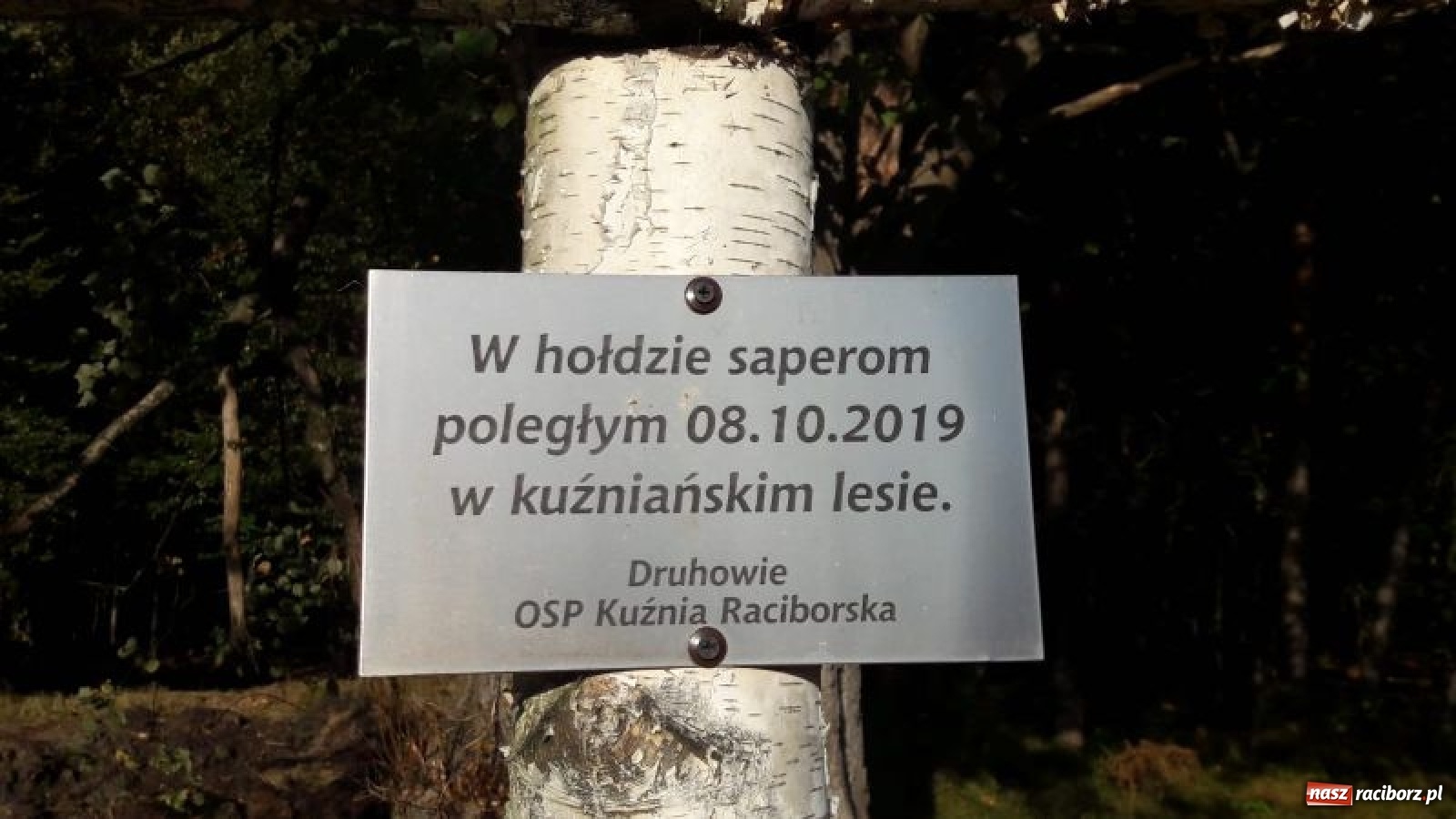 Zdjęcie w galerii na portalu naszraciborz.pl: W Kuźni Raciborskiej oddano hołd saperom wiadomości z regionu