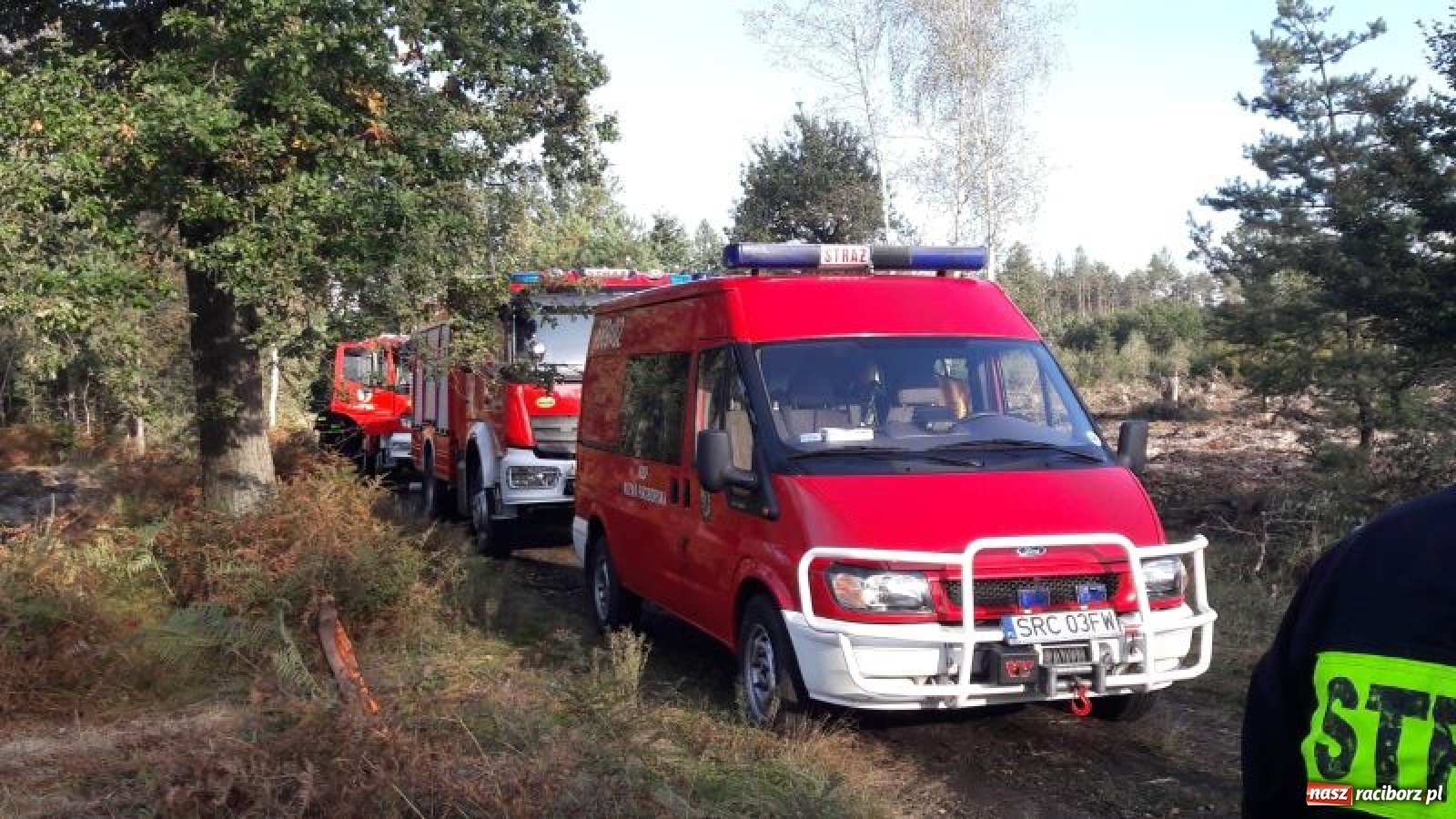 Zdjęcie w galerii na portalu naszraciborz.pl: W Kuźni Raciborskiej oddano hołd saperom wiadomości z regionu