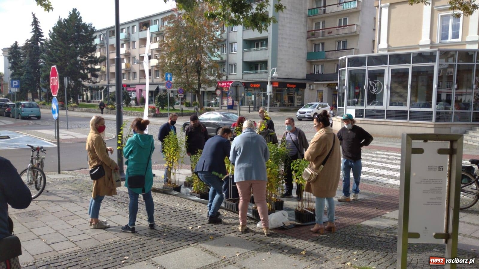 Zdjęcie w galerii na portalu naszraciborz.pl: Tak Racibórz wpisał się w Światowy Dzień Drzewa wiadomości z regionu