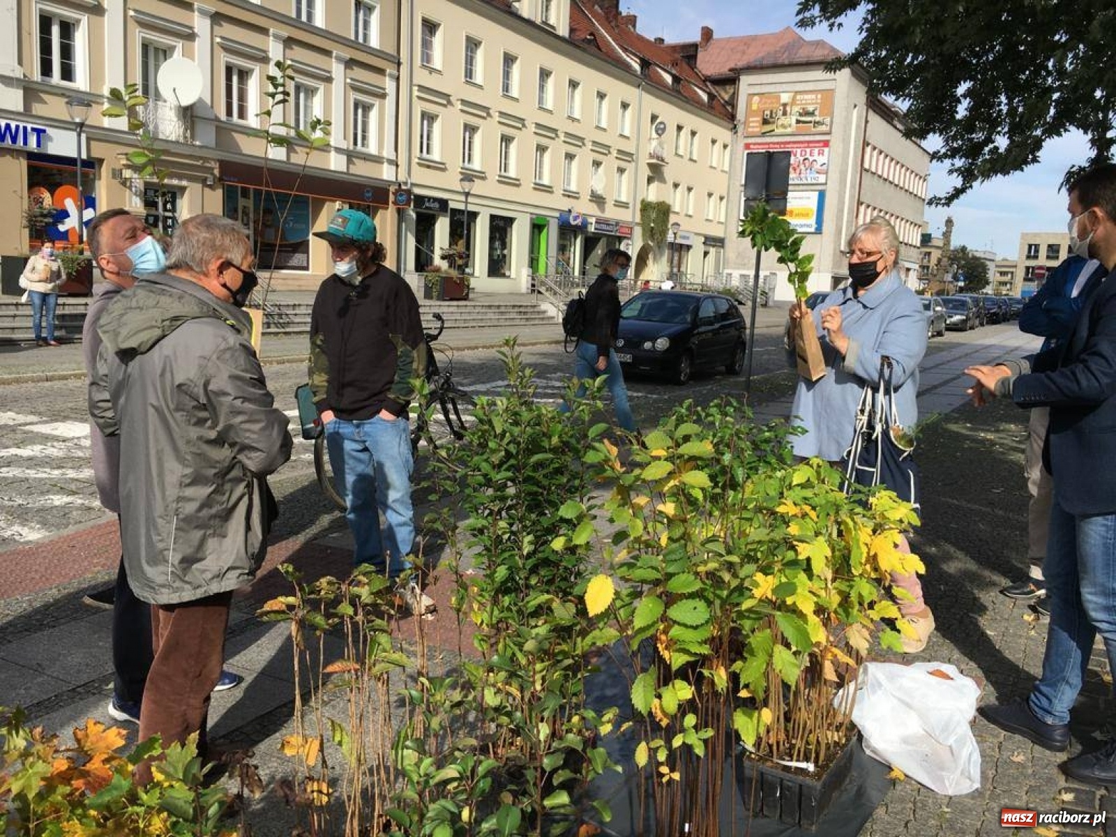 Zdjęcie w galerii na portalu naszraciborz.pl: Tak Racibórz wpisał się w Światowy Dzień Drzewa wiadomości z regionu