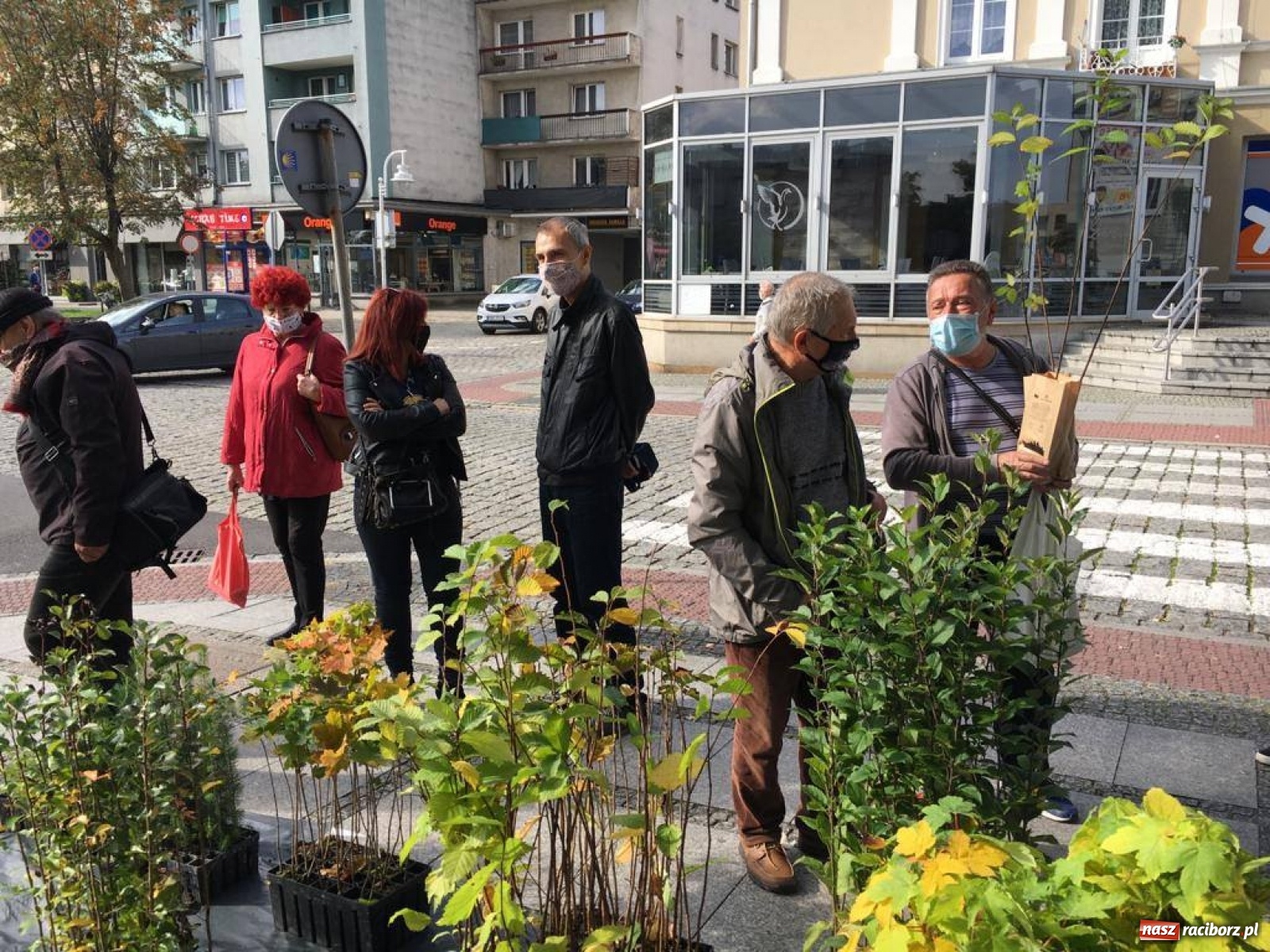 Zdjęcie w galerii na portalu naszraciborz.pl: Tak Racibórz wpisał się w Światowy Dzień Drzewa wiadomości z regionu