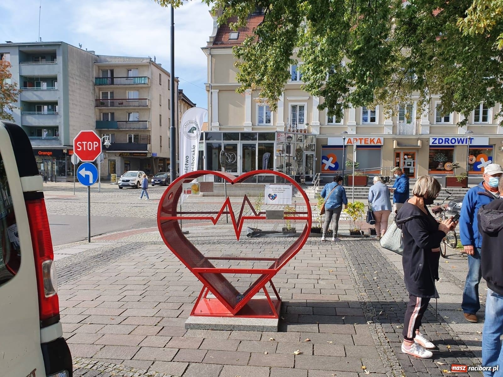 Zdjęcie w galerii na portalu naszraciborz.pl: Tak Racibórz wpisał się w Światowy Dzień Drzewa wiadomości z regionu