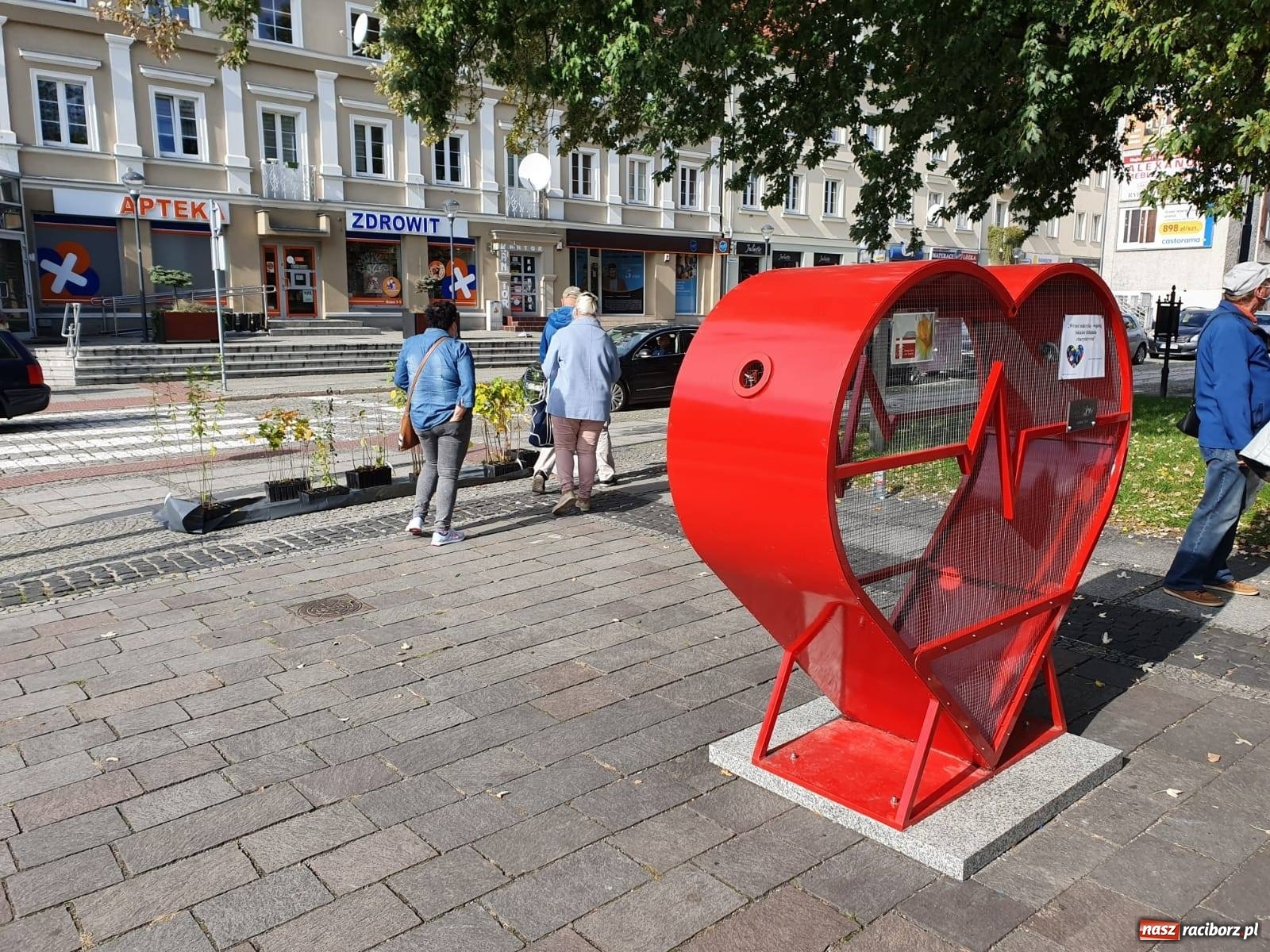 Zdjęcie w galerii na portalu naszraciborz.pl: Tak Racibórz wpisał się w Światowy Dzień Drzewa wiadomości z regionu