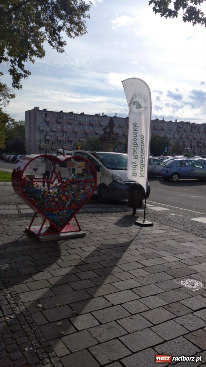 Zdjęcie w galerii na portalu naszraciborz.pl: Tak Racibórz wpisał się w Światowy Dzień Drzewa wiadomości z regionu