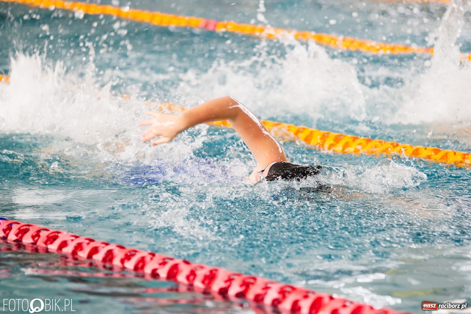 Zdjęcie w galerii na portalu naszraciborz.pl: Międzynarodowe Zawody Pływackie Puchar Sprintu o Puchar Dyrektora ZSOMS wiadomości z regionu