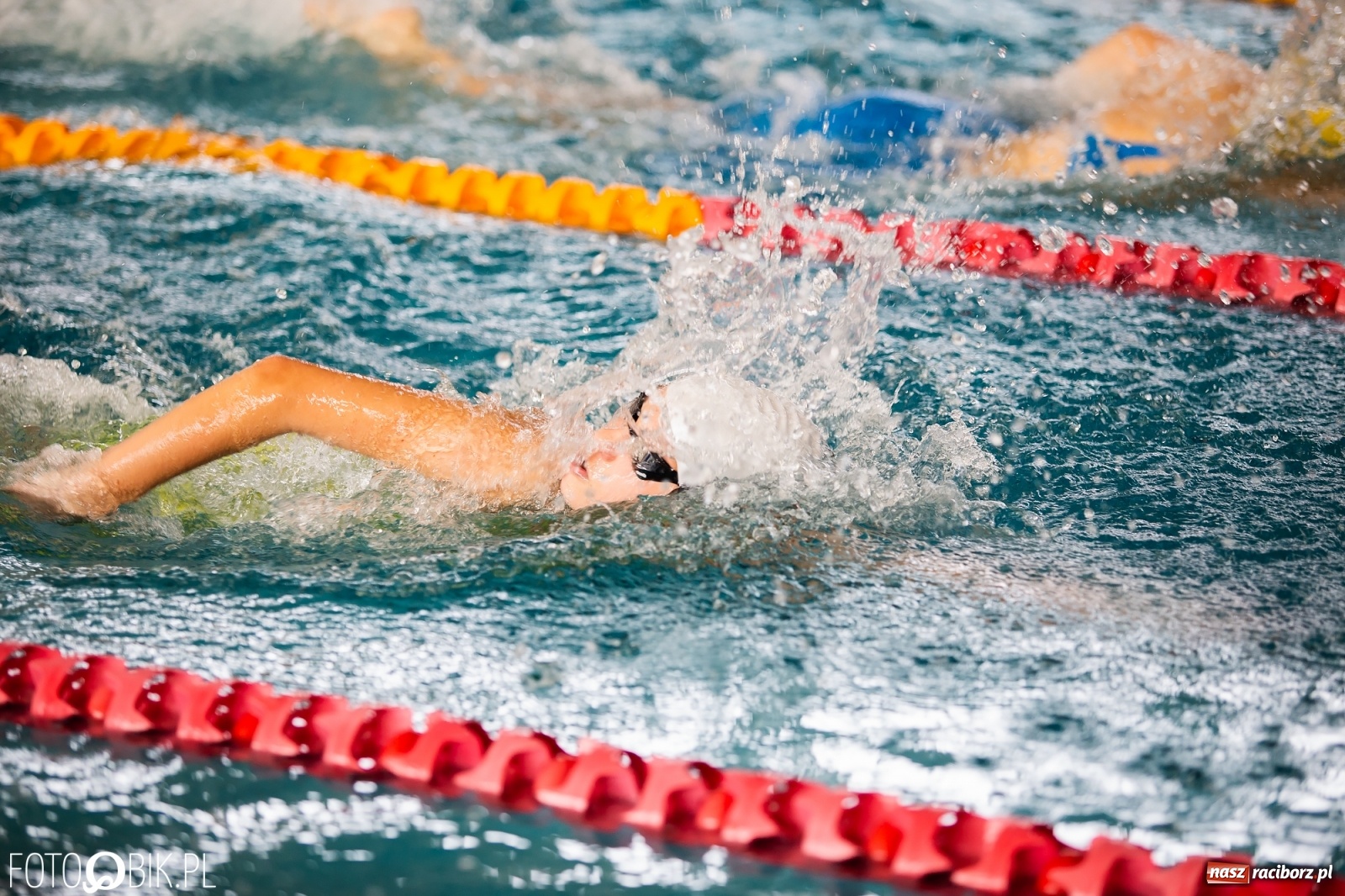 Zdjęcie w galerii na portalu naszraciborz.pl: Międzynarodowe Zawody Pływackie Puchar Sprintu o Puchar Dyrektora ZSOMS wiadomości z regionu