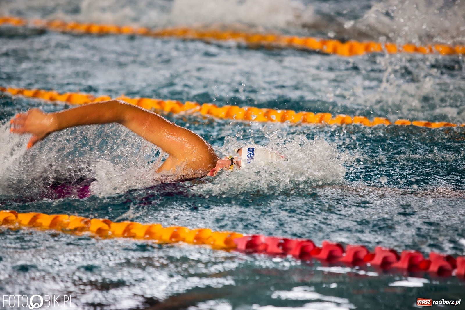 Zdjęcie w galerii na portalu naszraciborz.pl: Międzynarodowe Zawody Pływackie Puchar Sprintu o Puchar Dyrektora ZSOMS wiadomości z regionu