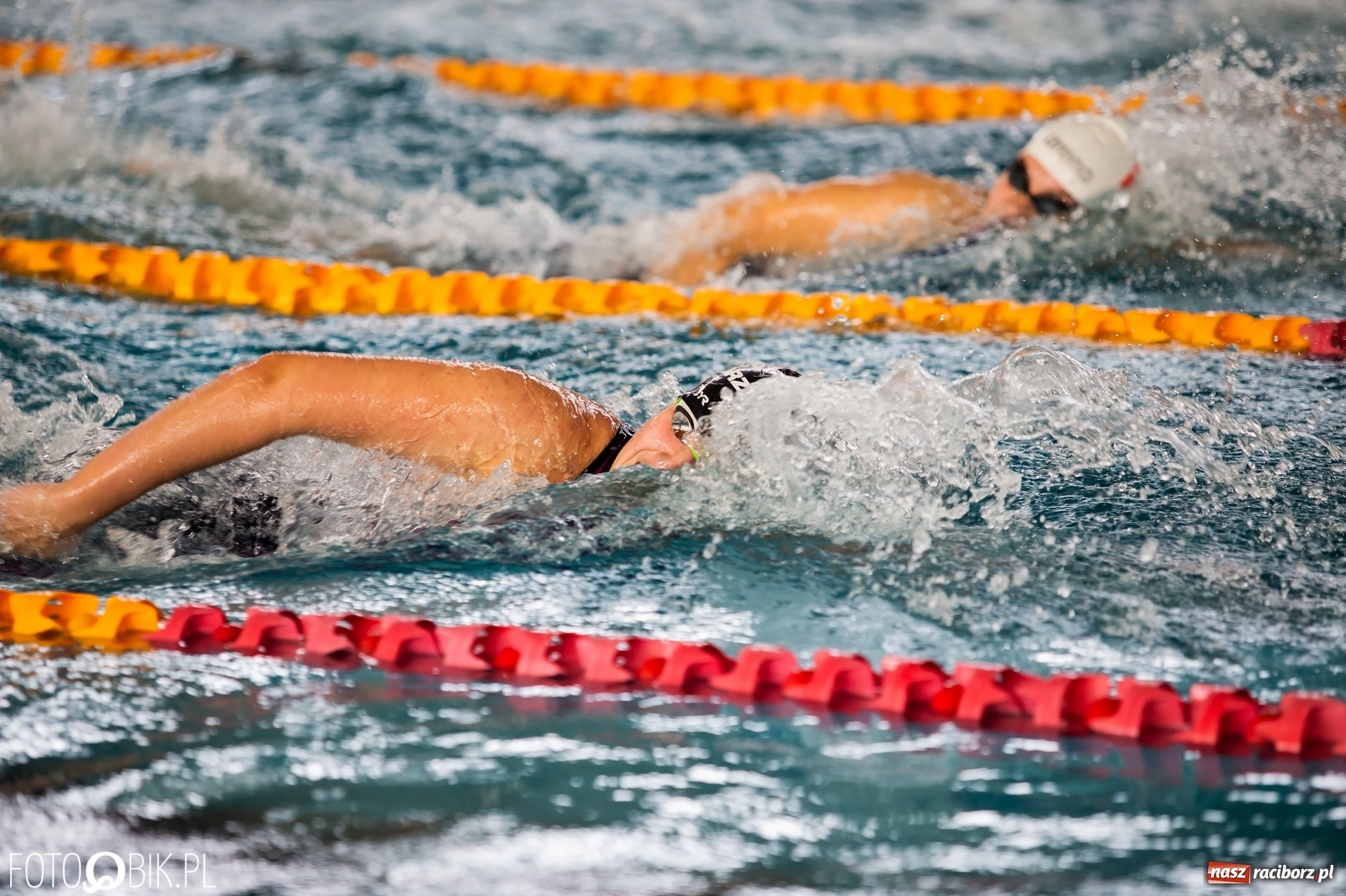 Zdjęcie w galerii na portalu naszraciborz.pl: Międzynarodowe Zawody Pływackie Puchar Sprintu o Puchar Dyrektora ZSOMS wiadomości z regionu