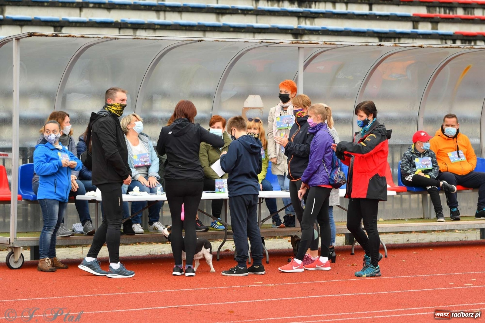 Zdjęcie w galerii na portalu naszraciborz.pl: Jesienny Bieg dla Bożeny [FOTORELACJA] wiadomości z regionu