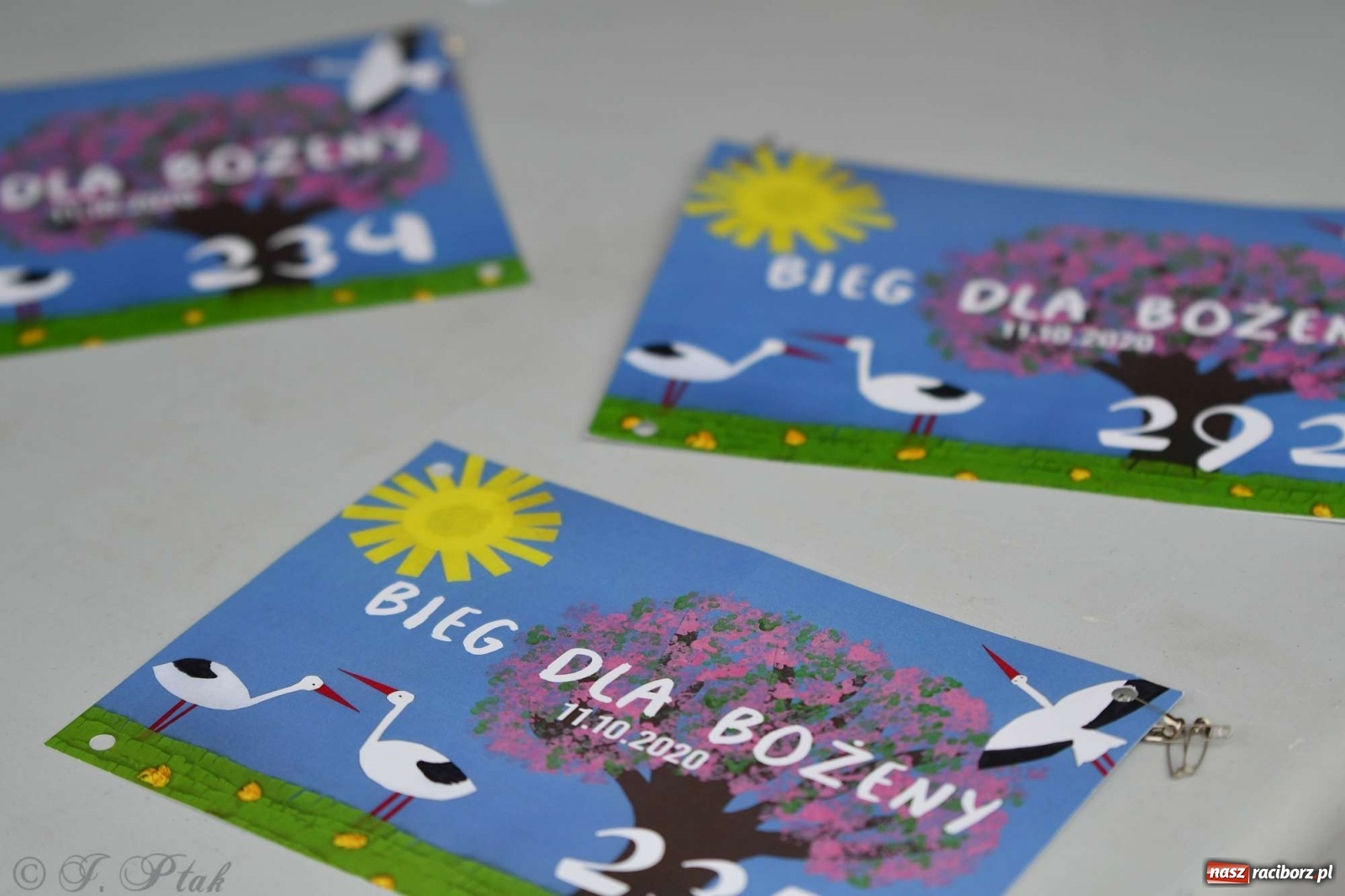 Zdjęcie w galerii na portalu naszraciborz.pl: Jesienny Bieg dla Bożeny [FOTORELACJA] wiadomości z regionu