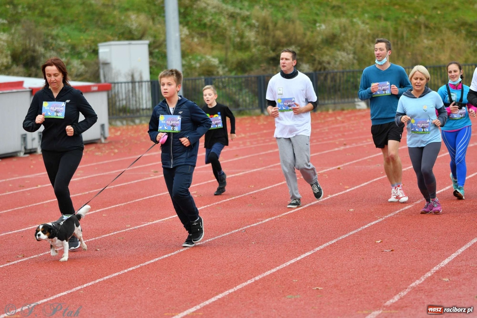Zdjęcie w galerii na portalu naszraciborz.pl: Jesienny Bieg dla Bożeny [FOTORELACJA] wiadomości z regionu