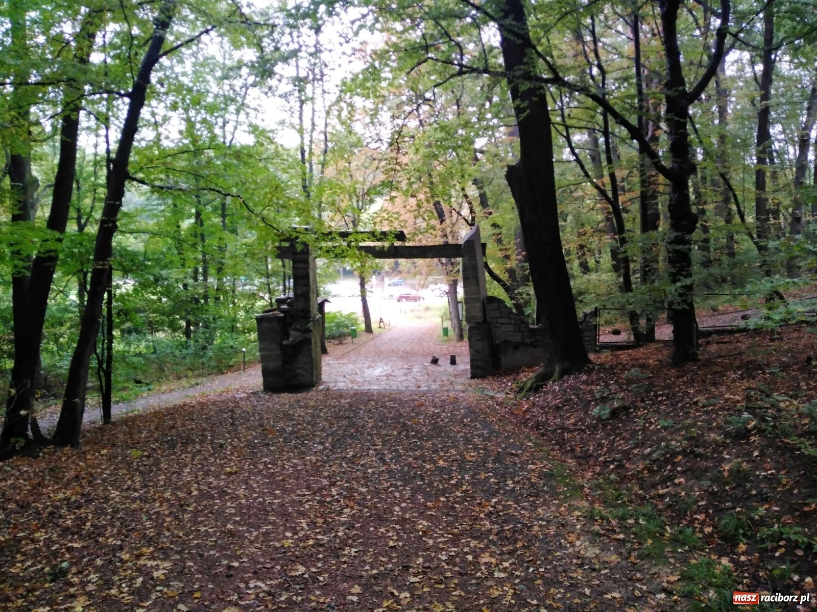 Zdjęcie w galerii na portalu naszraciborz.pl: Brama w Arboretum będzie rozebrana wiadomości z regionu