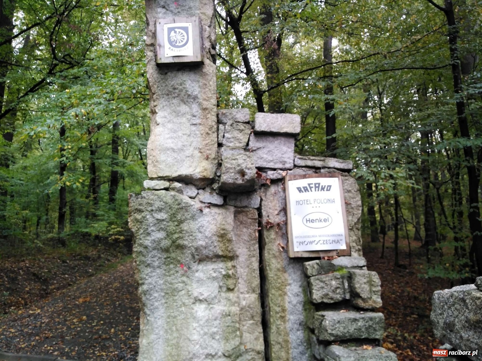 Zdjęcie w galerii na portalu naszraciborz.pl: Brama w Arboretum będzie rozebrana wiadomości z regionu