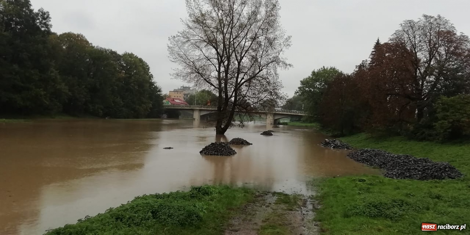 Zdjęcie w galerii na portalu naszraciborz.pl: Służby korygują prognozy! Wezbranie na Odrze będzie większe niż sądzono wiadomości z regionu