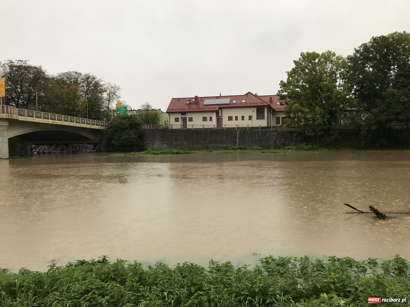 Zdjęcie w galerii na portalu naszraciborz.pl: Służby korygują prognozy! Wezbranie na Odrze będzie większe niż sądzono wiadomości z regionu
