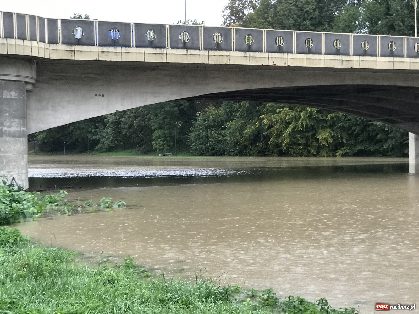 Zdjęcie w galerii na portalu naszraciborz.pl: Służby korygują prognozy! Wezbranie na Odrze będzie większe niż sądzono wiadomości z regionu