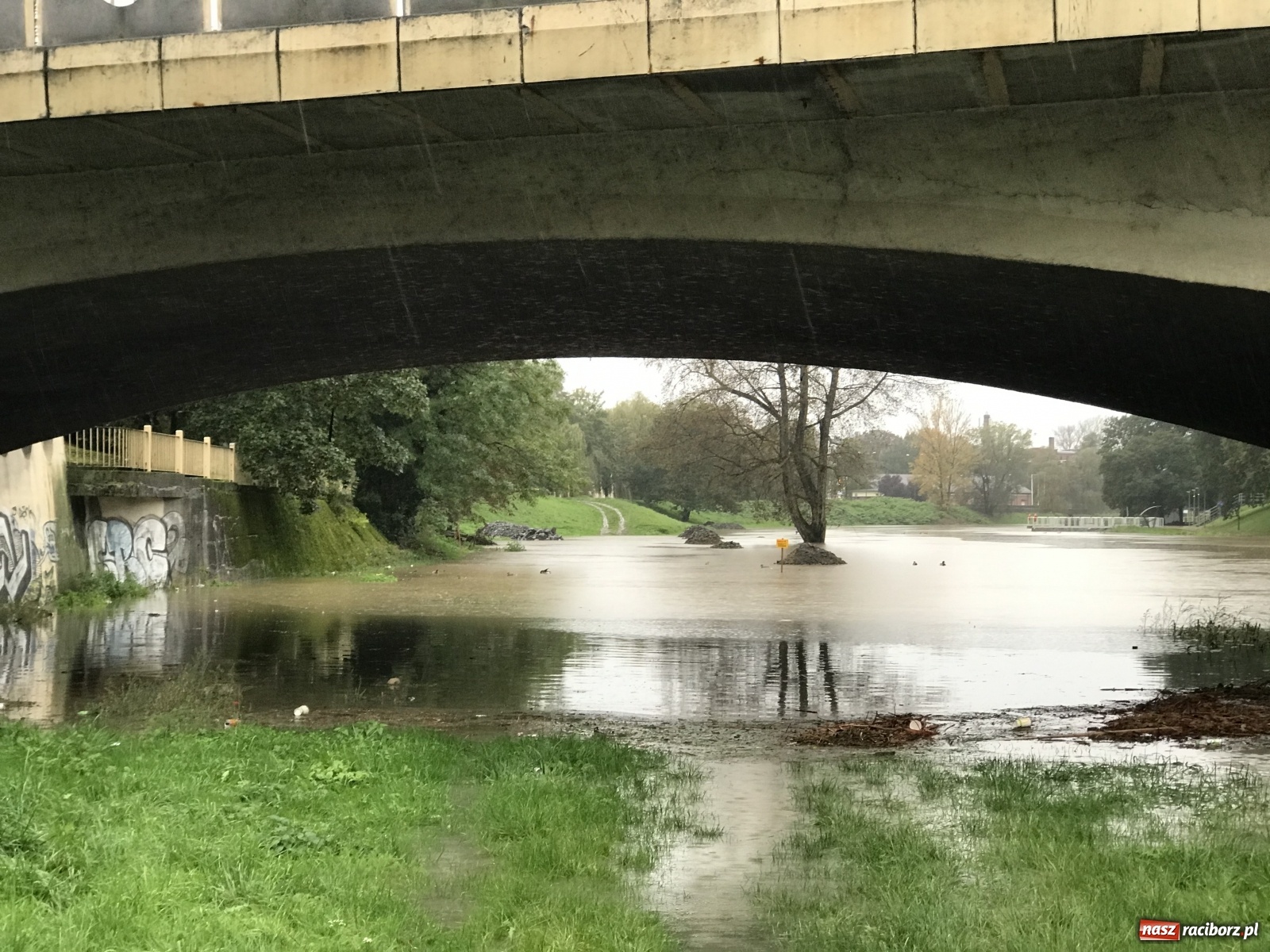 Zdjęcie w galerii na portalu naszraciborz.pl: Służby korygują prognozy! Wezbranie na Odrze będzie większe niż sądzono wiadomości z regionu