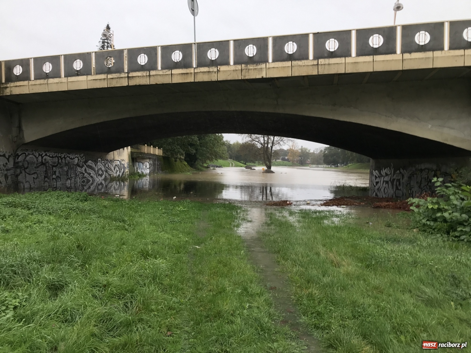 Zdjęcie w galerii na portalu naszraciborz.pl: Służby korygują prognozy! Wezbranie na Odrze będzie większe niż sądzono wiadomości z regionu