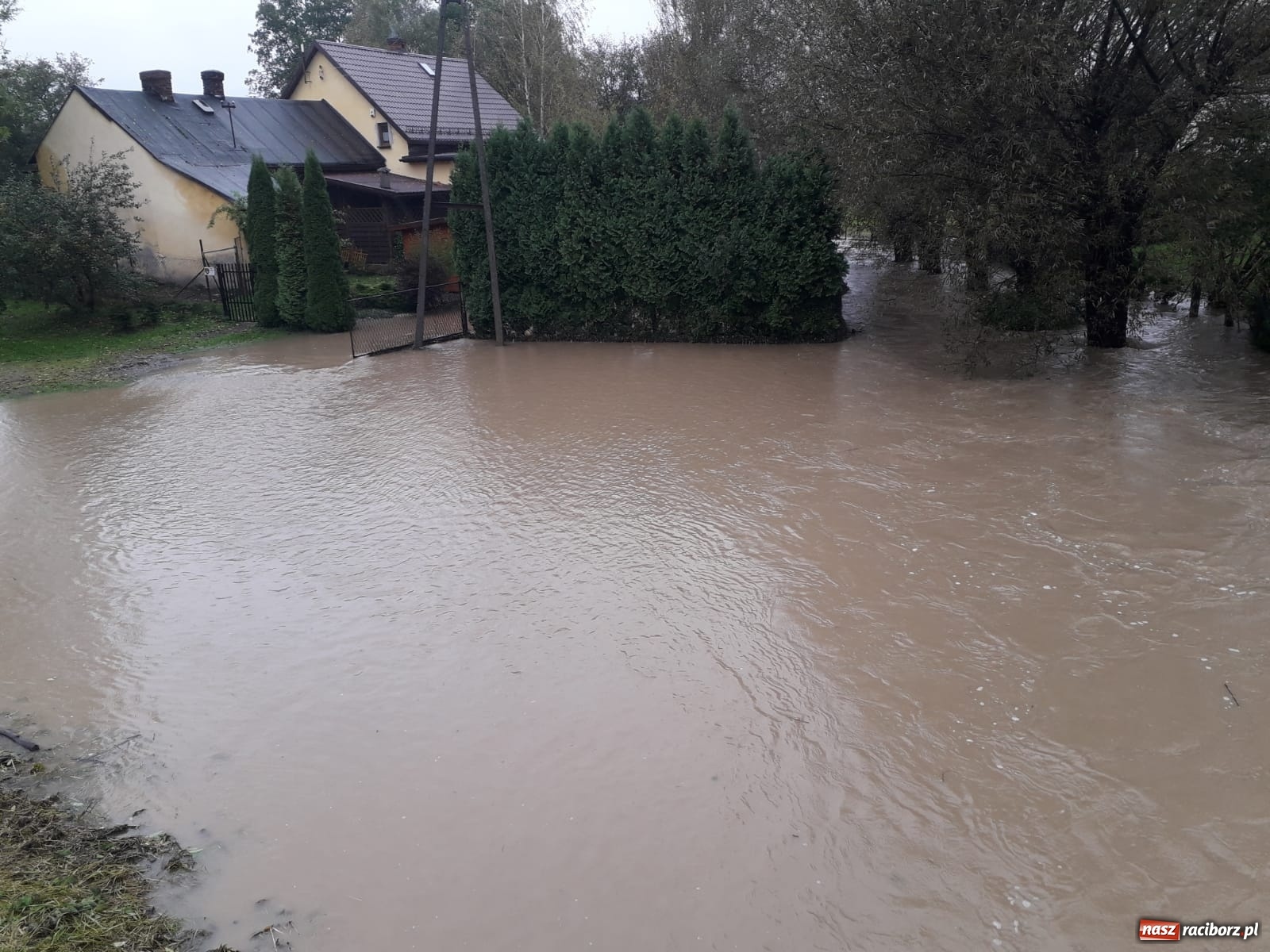 Zdjęcie w galerii na portalu naszraciborz.pl: W gminie Krzyżanowice groźna sytuacja na Bełku. Na Łapaczu układają zaporę z worków wiadomości z regionu