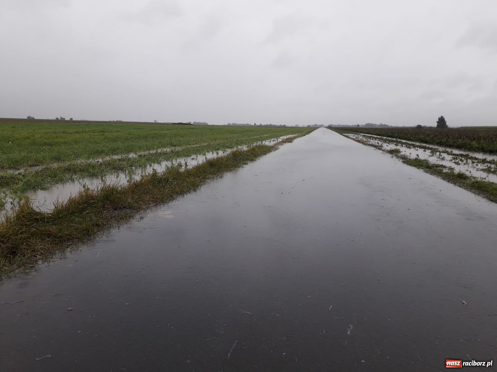 Zdjęcie w galerii na portalu naszraciborz.pl: W gminie Krzyżanowice groźna sytuacja na Bełku. Na Łapaczu układają zaporę z worków wiadomości z regionu
