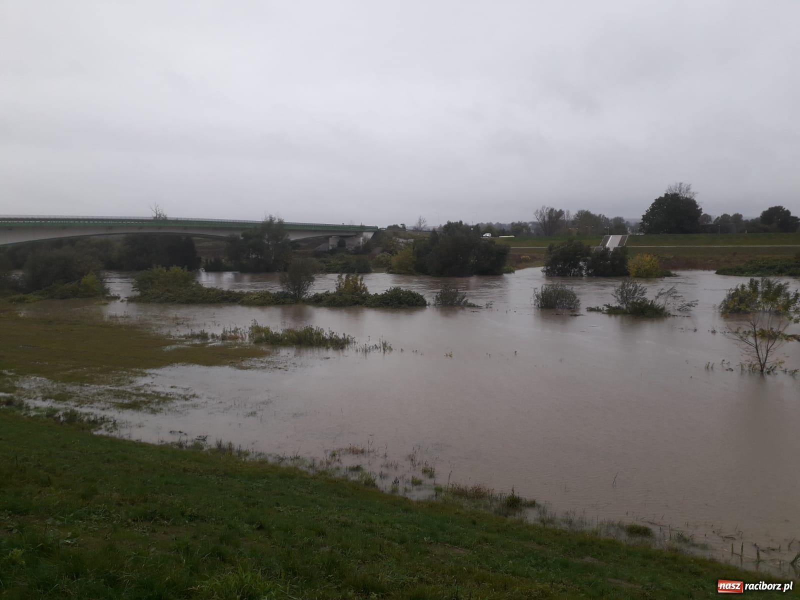 Zdjęcie w galerii na portalu naszraciborz.pl: W gminie Krzyżanowice groźna sytuacja na Bełku. Na Łapaczu układają zaporę z worków wiadomości z regionu