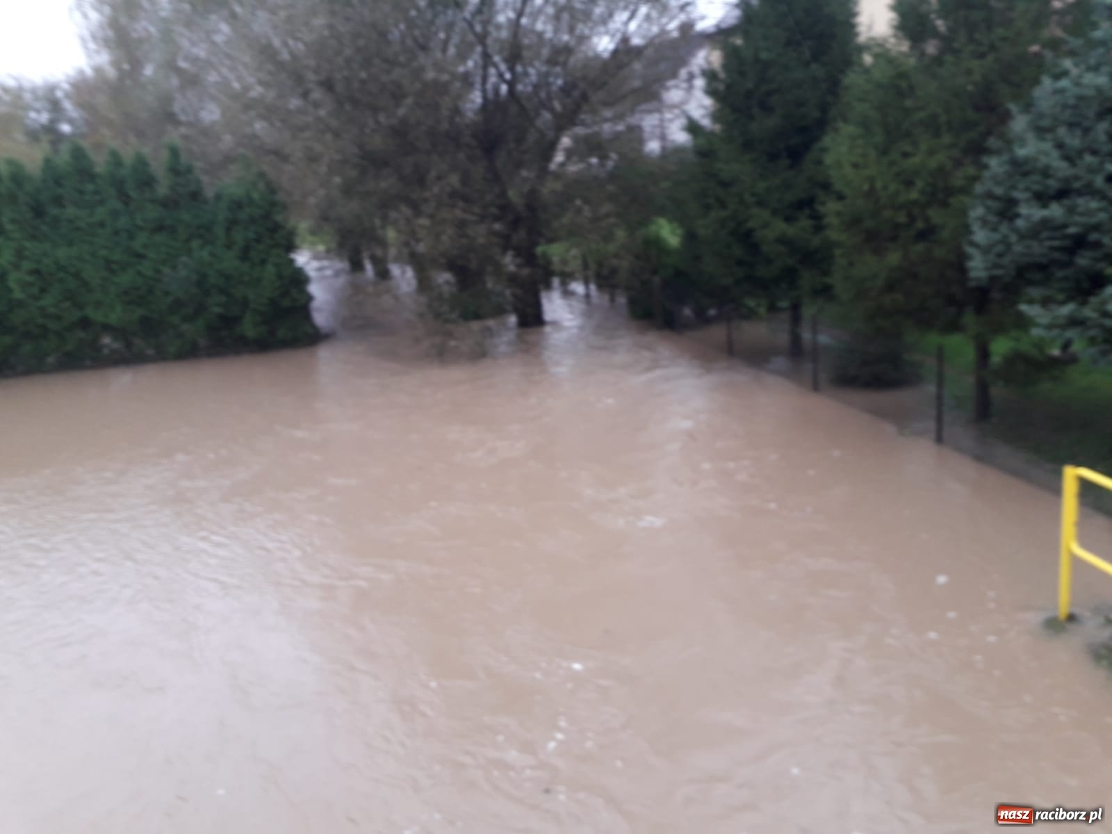 Zdjęcie w galerii na portalu naszraciborz.pl: W gminie Krzyżanowice groźna sytuacja na Bełku. Na Łapaczu układają zaporę z worków wiadomości z regionu