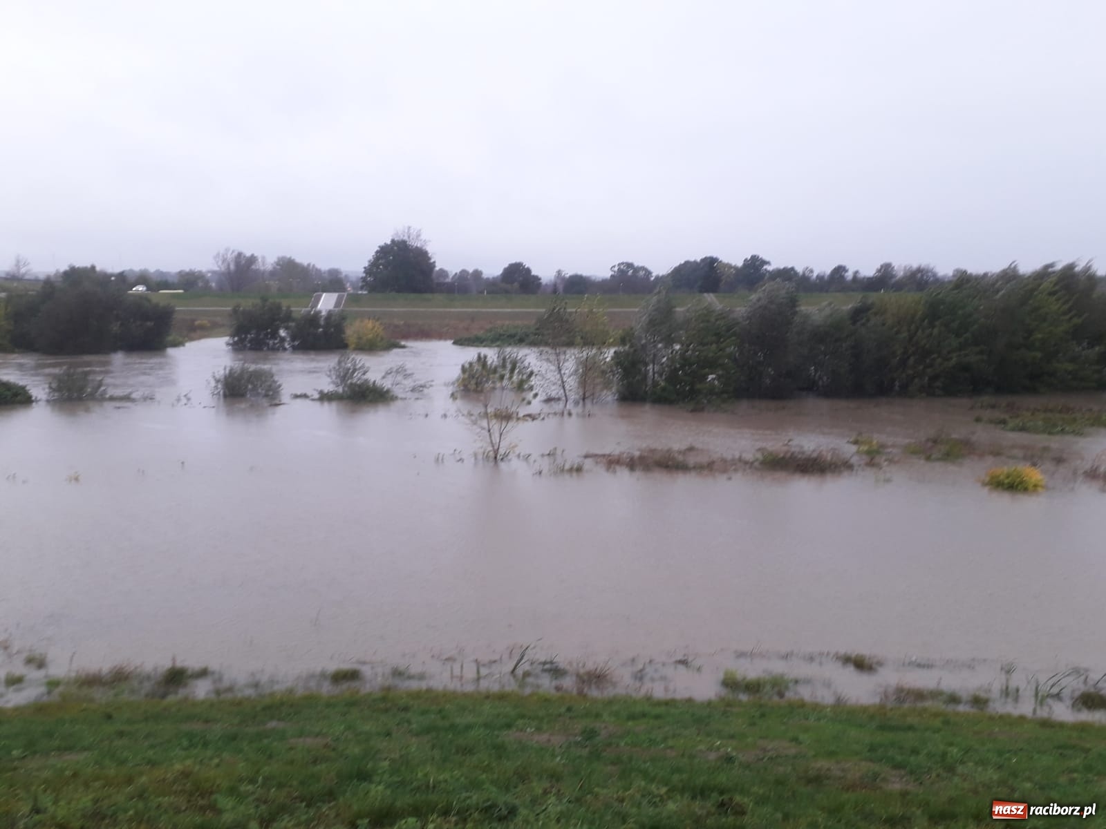 Zdjęcie w galerii na portalu naszraciborz.pl: W gminie Krzyżanowice groźna sytuacja na Bełku. Na Łapaczu układają zaporę z worków wiadomości z regionu
