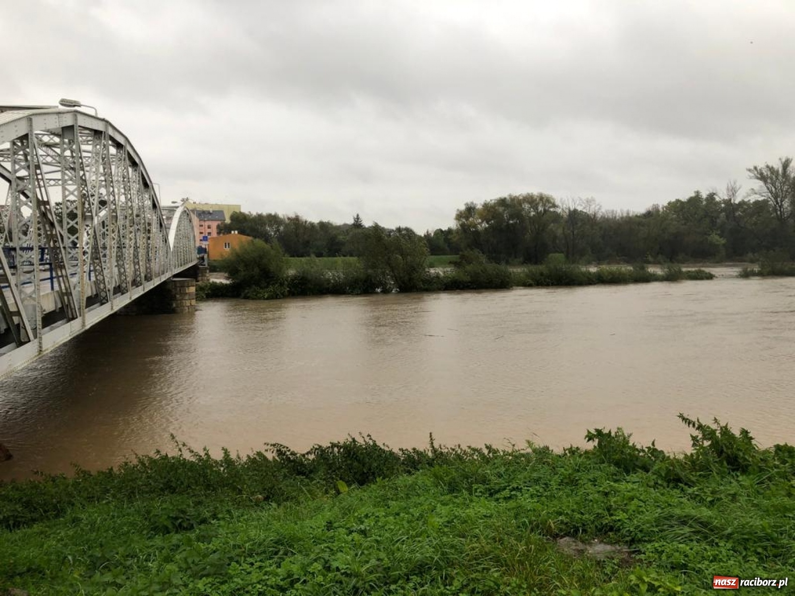 Zdjęcie w galerii na portalu naszraciborz.pl: W gminie Krzyżanowice groźna sytuacja na Bełku. Na Łapaczu układają zaporę z worków wiadomości z regionu