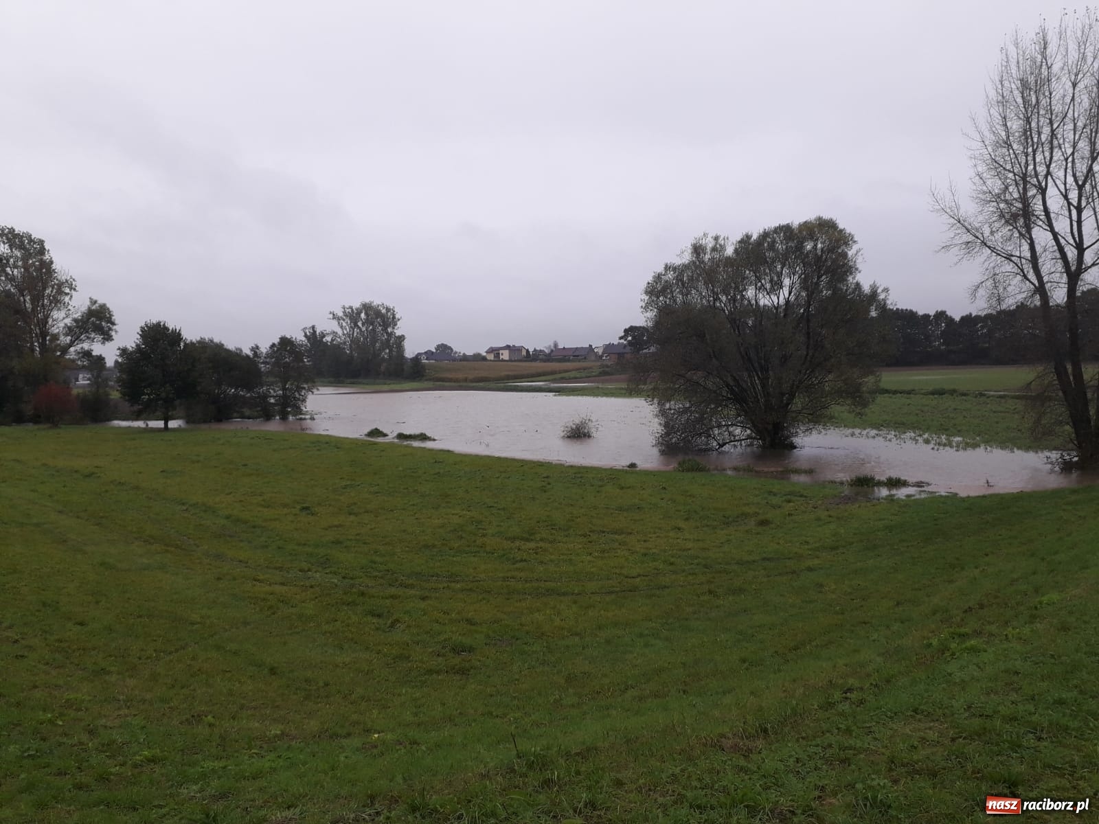 Zdjęcie w galerii na portalu naszraciborz.pl: W gminie Krzyżanowice groźna sytuacja na Bełku. Na Łapaczu układają zaporę z worków wiadomości z regionu