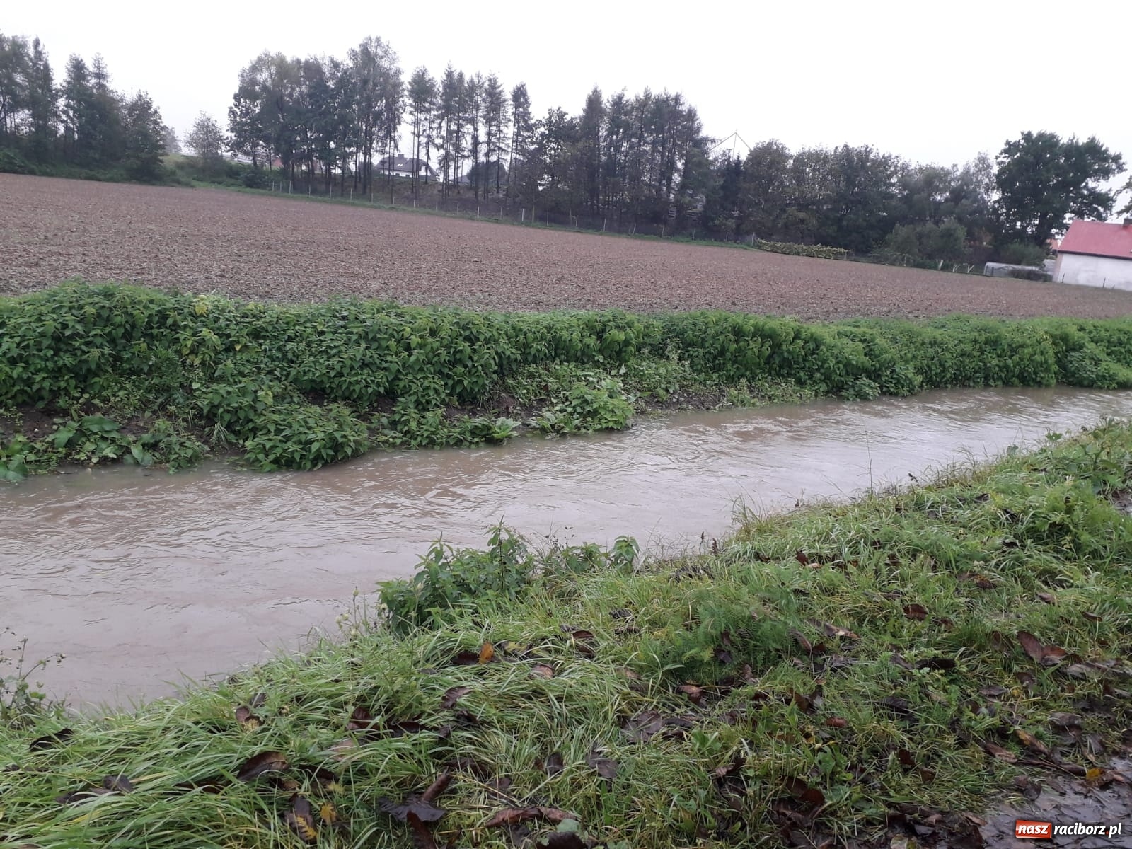 Zdjęcie w galerii na portalu naszraciborz.pl: W gminie Krzyżanowice groźna sytuacja na Bełku. Na Łapaczu układają zaporę z worków wiadomości z regionu