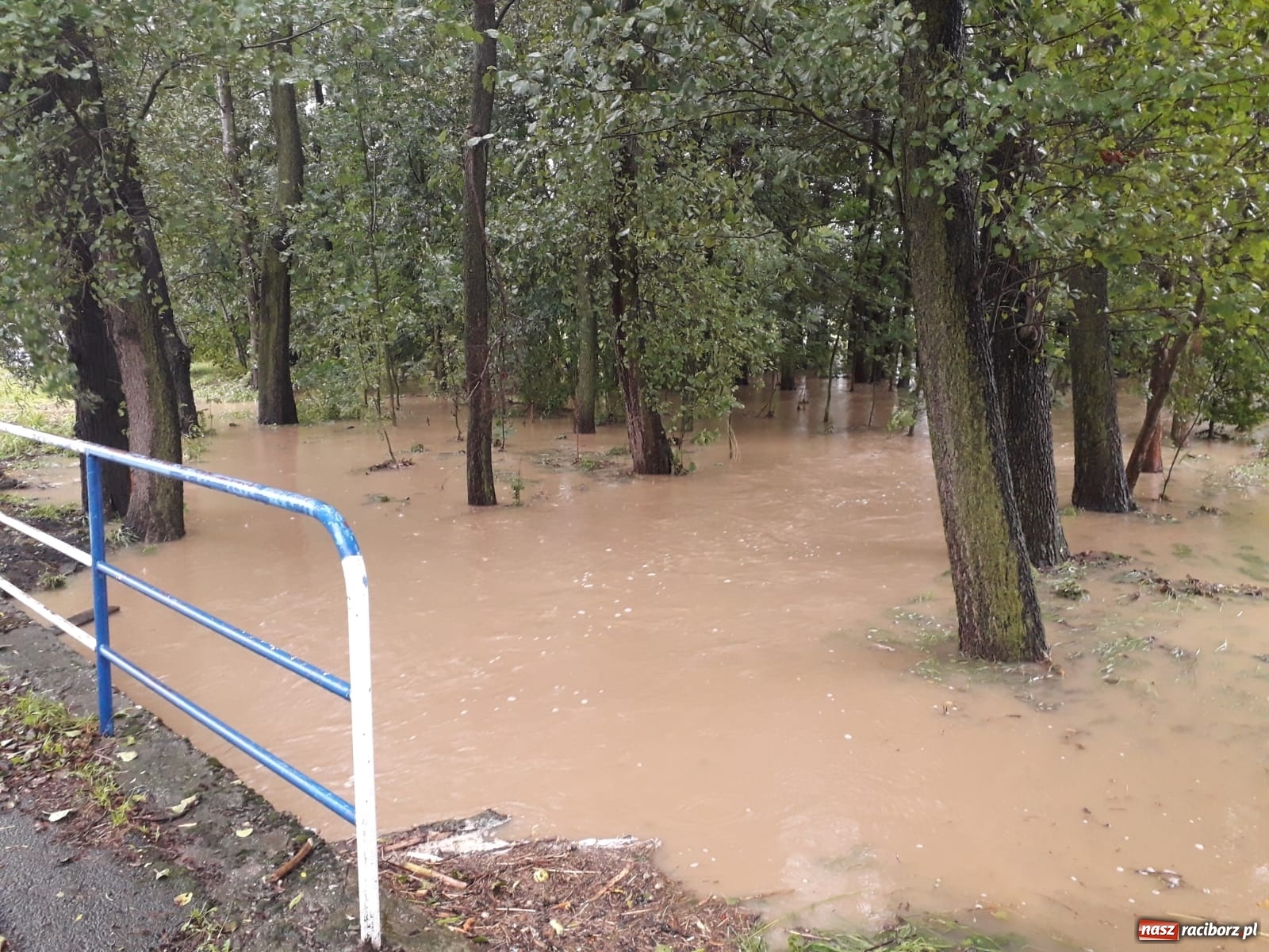Zdjęcie w galerii na portalu naszraciborz.pl: W gminie Krzyżanowice groźna sytuacja na Bełku. Na Łapaczu układają zaporę z worków wiadomości z regionu