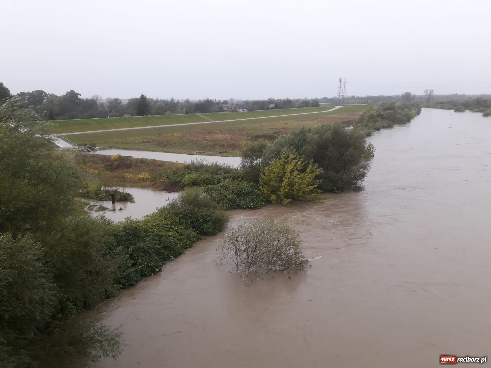 Zdjęcie w galerii na portalu naszraciborz.pl: W gminie Krzyżanowice groźna sytuacja na Bełku. Na Łapaczu układają zaporę z worków wiadomości z regionu