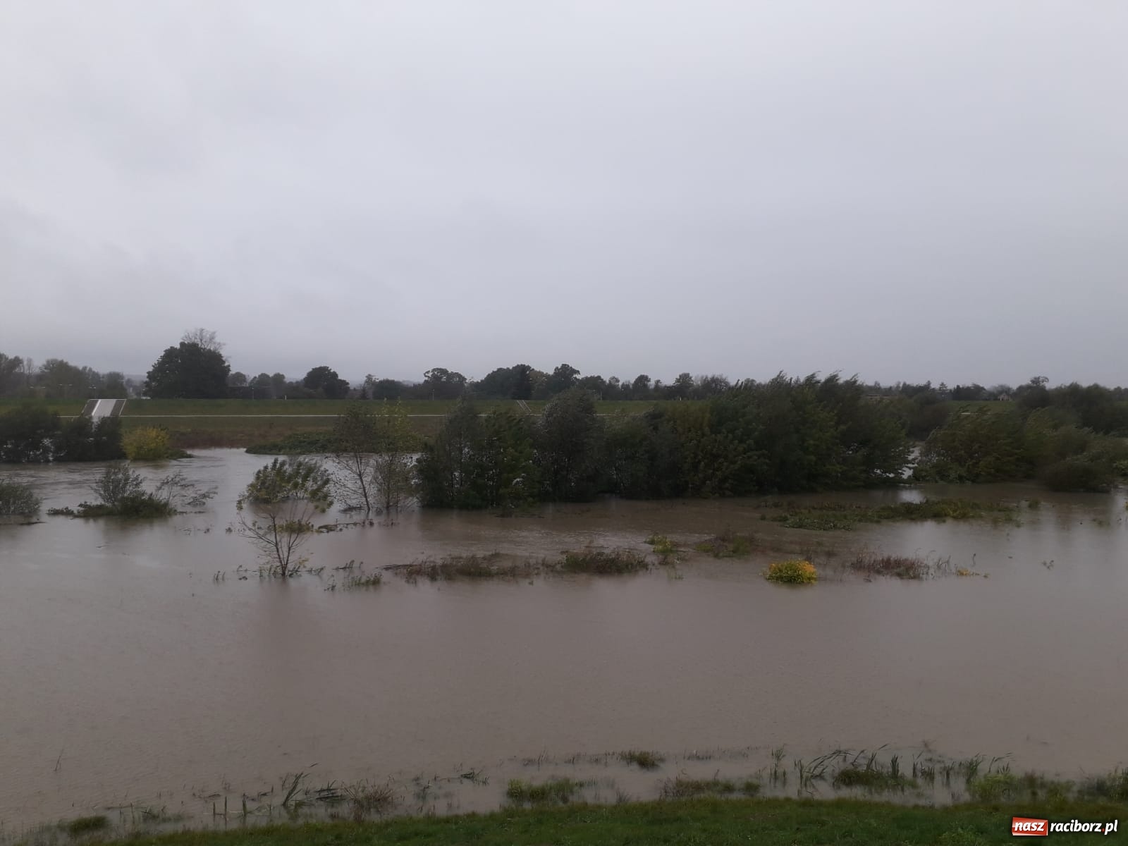 Zdjęcie w galerii na portalu naszraciborz.pl: W gminie Krzyżanowice groźna sytuacja na Bełku. Na Łapaczu układają zaporę z worków wiadomości z regionu