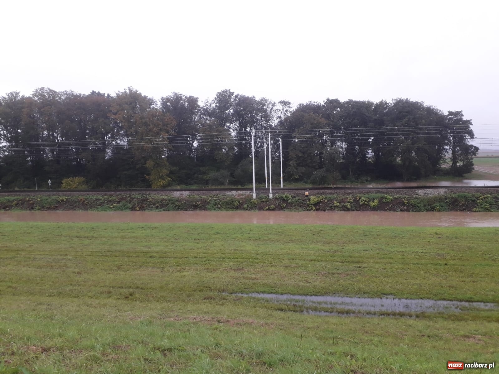 Zdjęcie w galerii na portalu naszraciborz.pl: W gminie Krzyżanowice groźna sytuacja na Bełku. Na Łapaczu układają zaporę z worków wiadomości z regionu