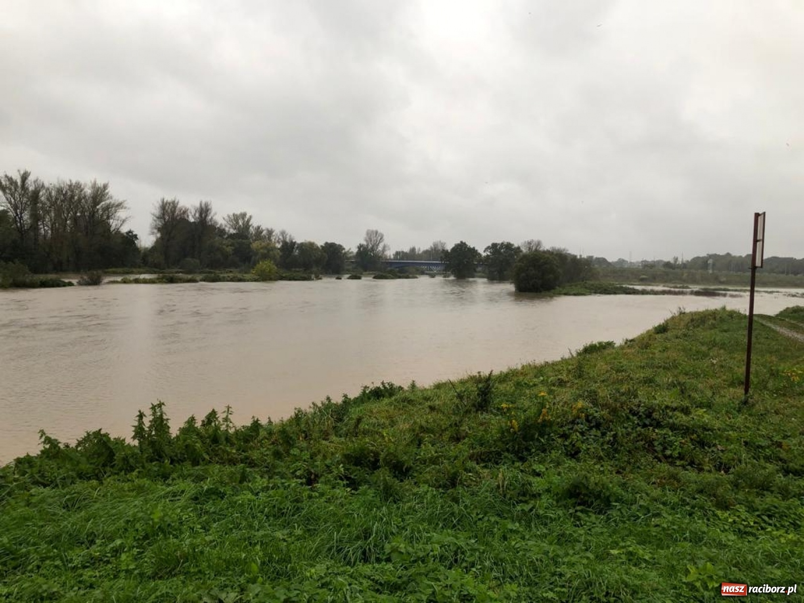 Zdjęcie w galerii na portalu naszraciborz.pl: W gminie Krzyżanowice groźna sytuacja na Bełku. Na Łapaczu układają zaporę z worków wiadomości z regionu