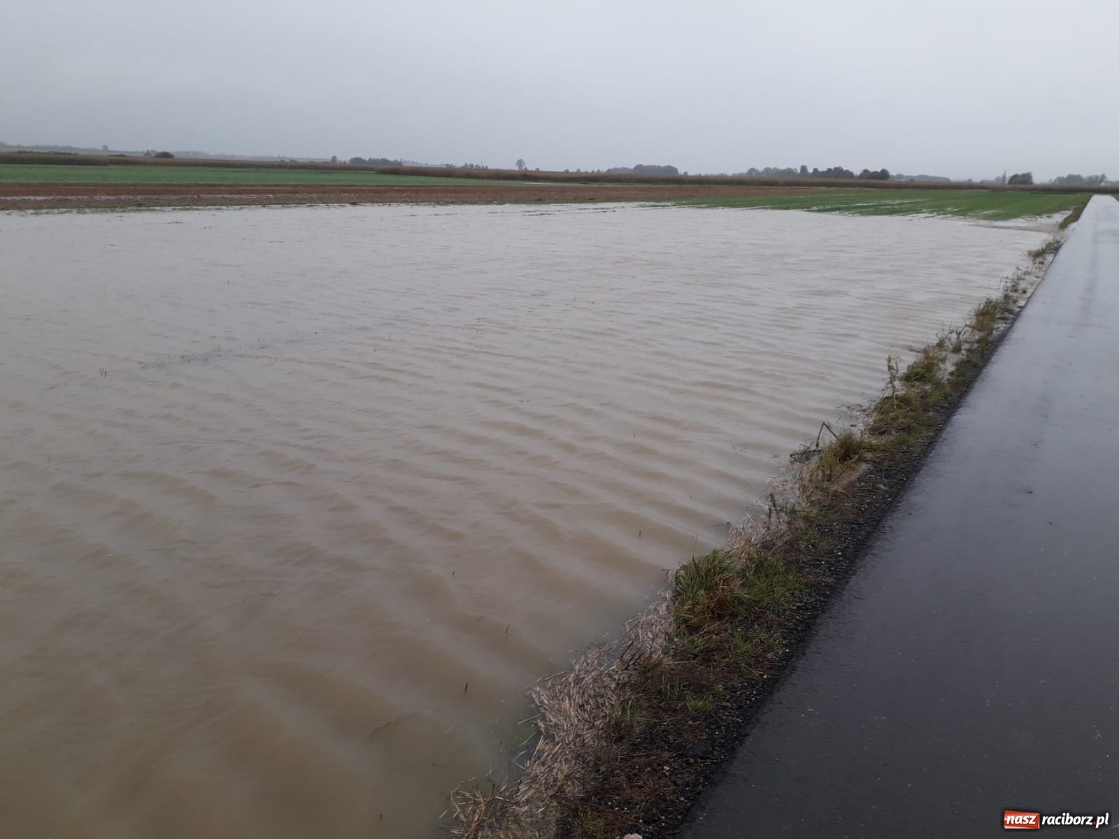 Zdjęcie w galerii na portalu naszraciborz.pl: W gminie Krzyżanowice groźna sytuacja na Bełku. Na Łapaczu układają zaporę z worków wiadomości z regionu