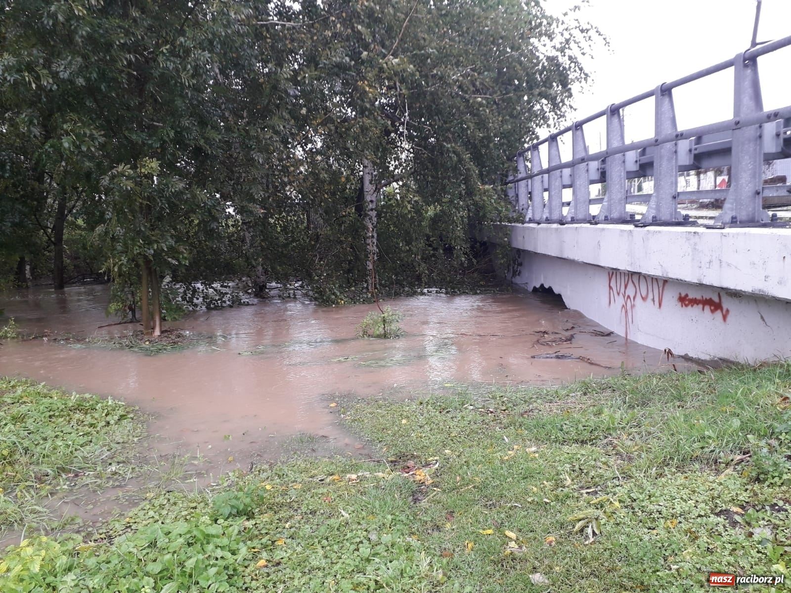Zdjęcie w galerii na portalu naszraciborz.pl: W gminie Krzyżanowice groźna sytuacja na Bełku. Na Łapaczu układają zaporę z worków wiadomości z regionu