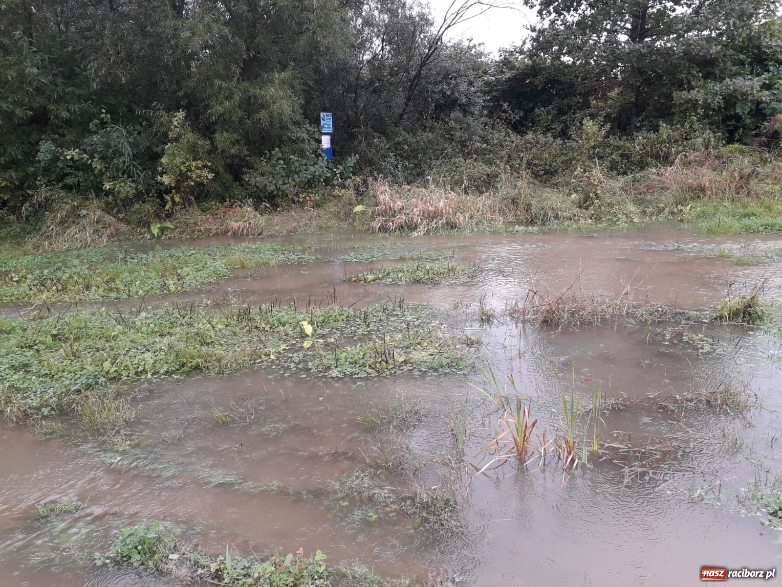 Zdjęcie w galerii na portalu naszraciborz.pl: W gminie Krzyżanowice groźna sytuacja na Bełku. Na Łapaczu układają zaporę z worków wiadomości z regionu