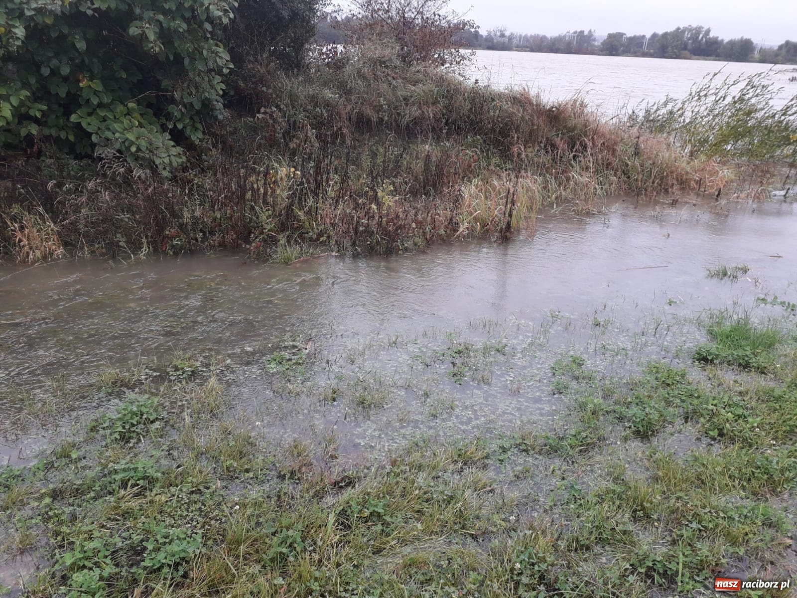 Zdjęcie w galerii na portalu naszraciborz.pl: W gminie Krzyżanowice groźna sytuacja na Bełku. Na Łapaczu układają zaporę z worków wiadomości z regionu