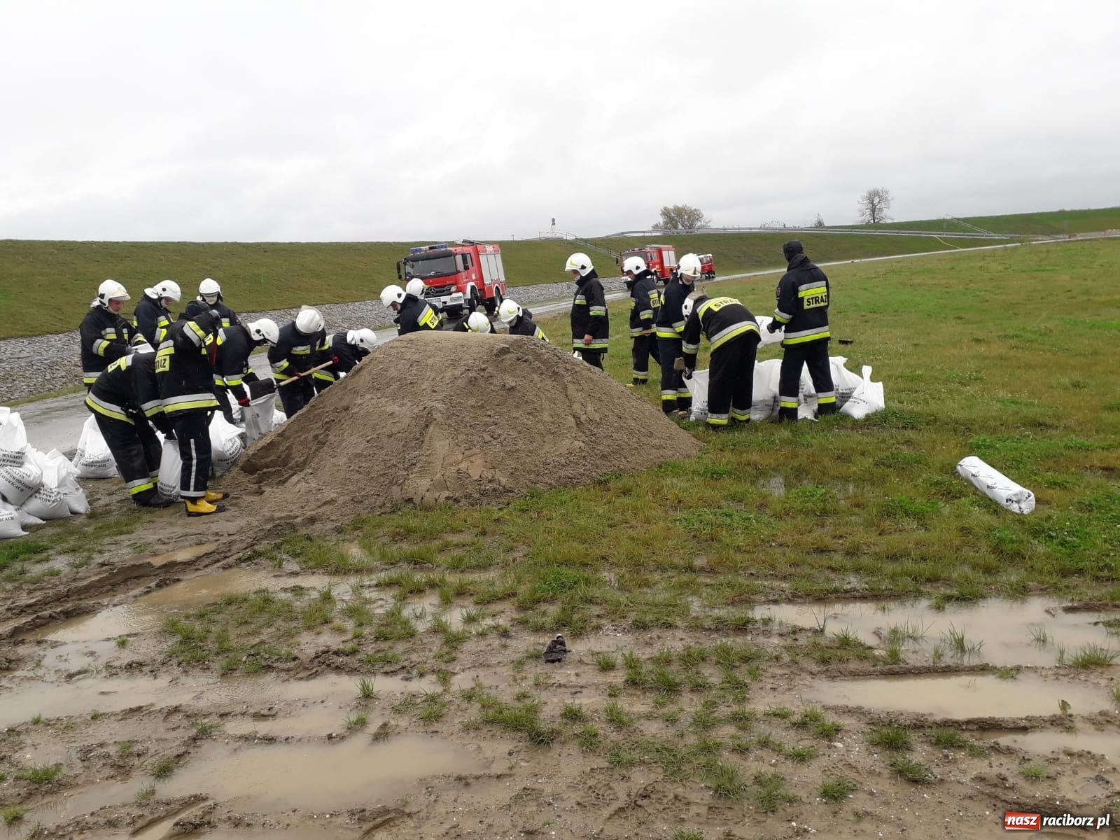 Zdjęcie w galerii na portalu naszraciborz.pl: W gminie Krzyżanowice groźna sytuacja na Bełku. Na Łapaczu układają zaporę z worków wiadomości z regionu
